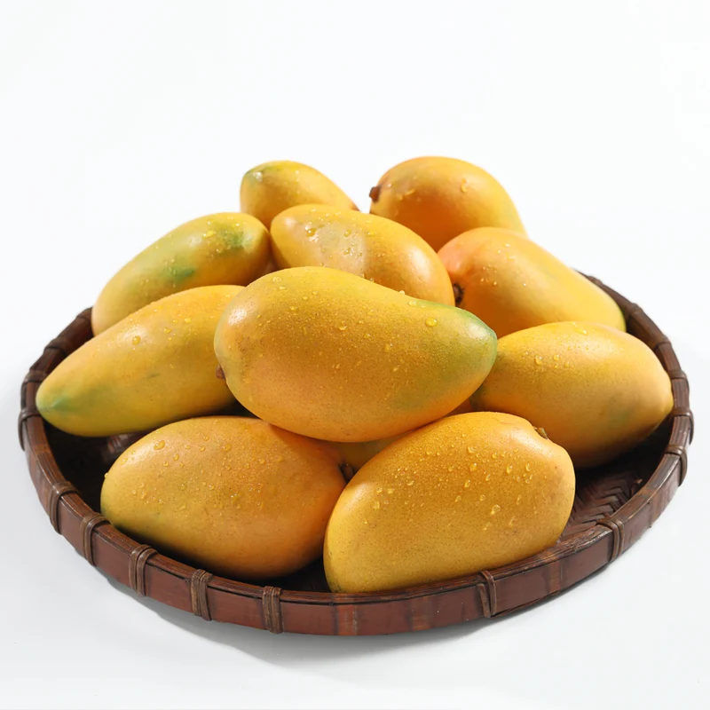 小台芒